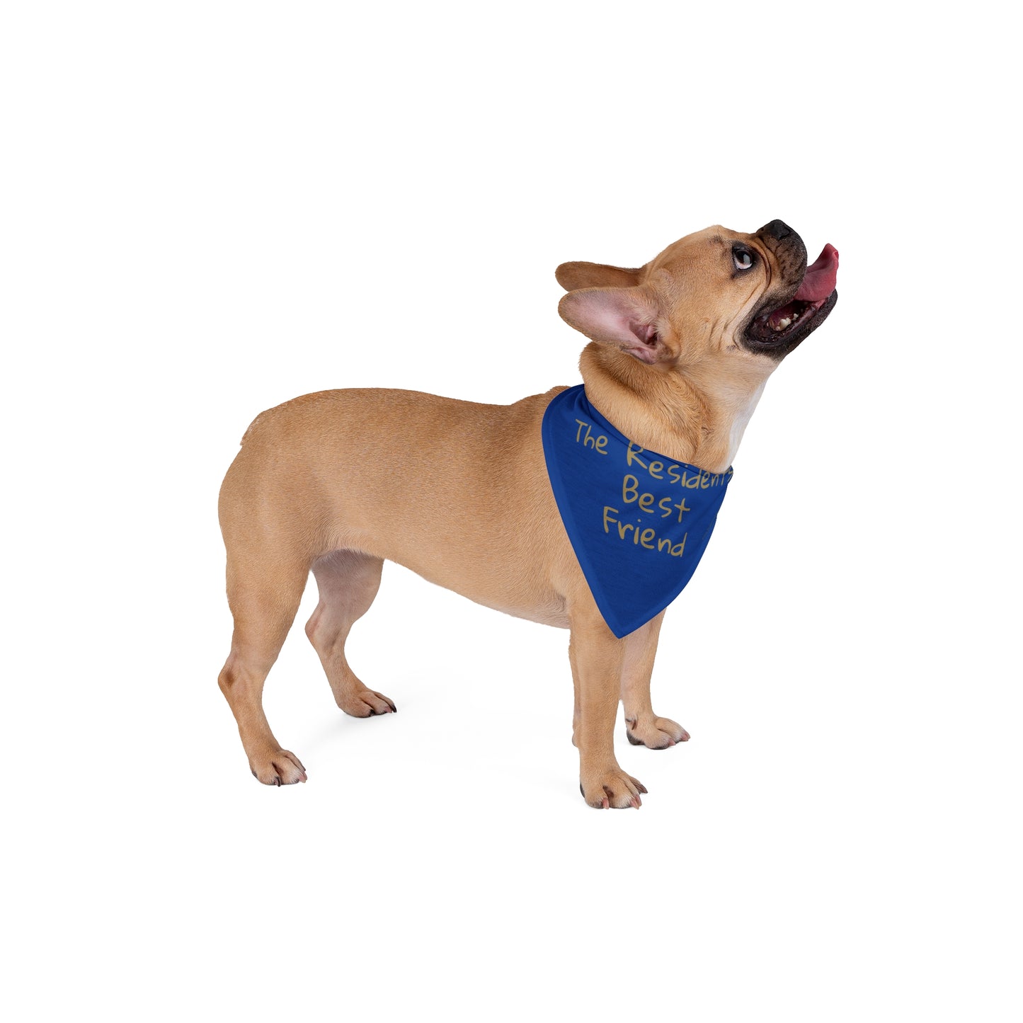 🐶 The Residents' Best Friend – LTC Boutique Pet Bandana (BLUE)