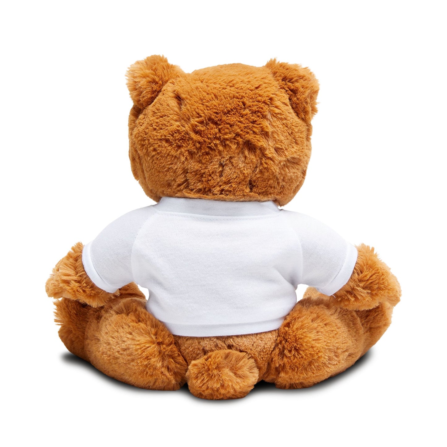 🧸 The “Interim Activity Director” Teddy Bear