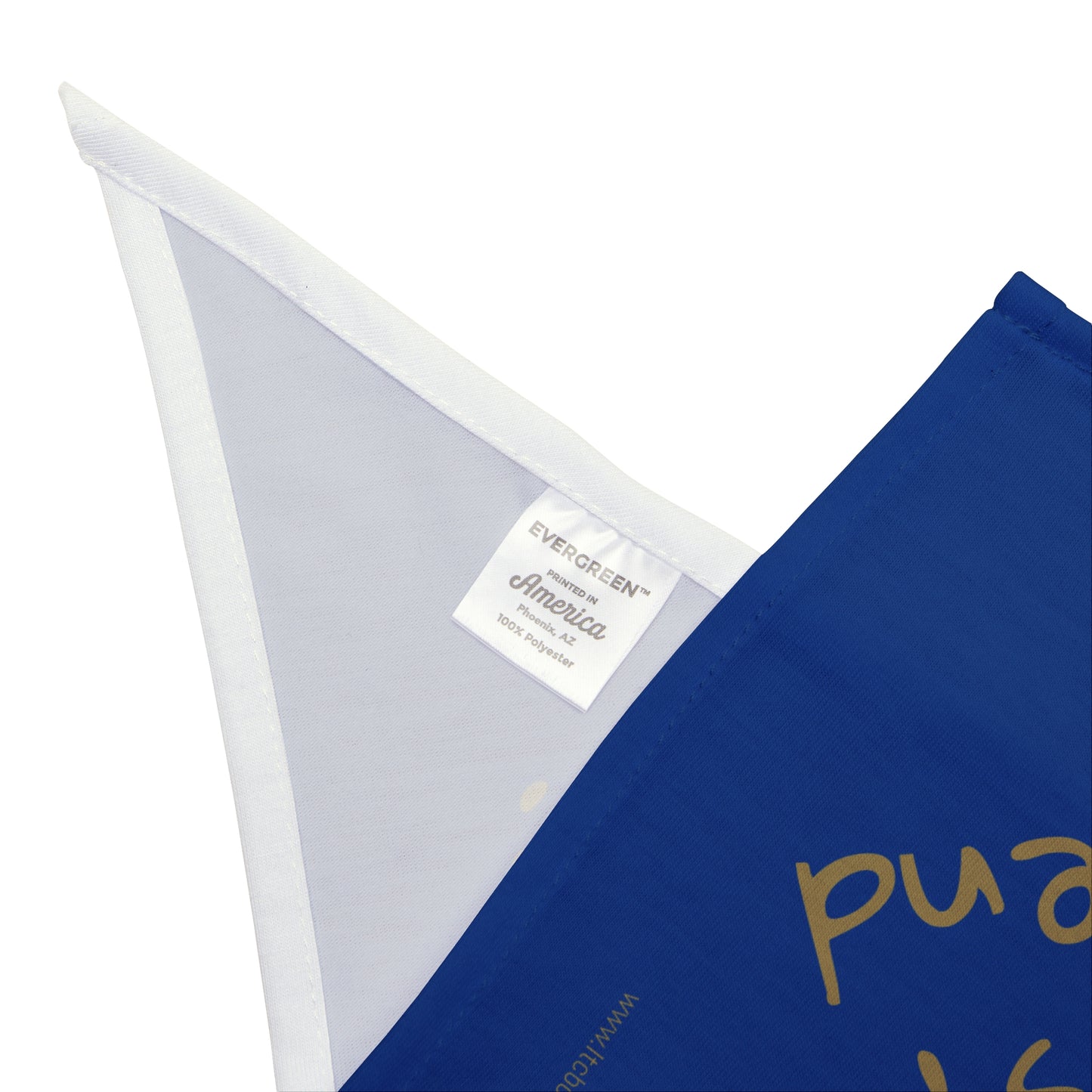 🐶 The Residents' Best Friend – LTC Boutique Pet Bandana (BLUE)