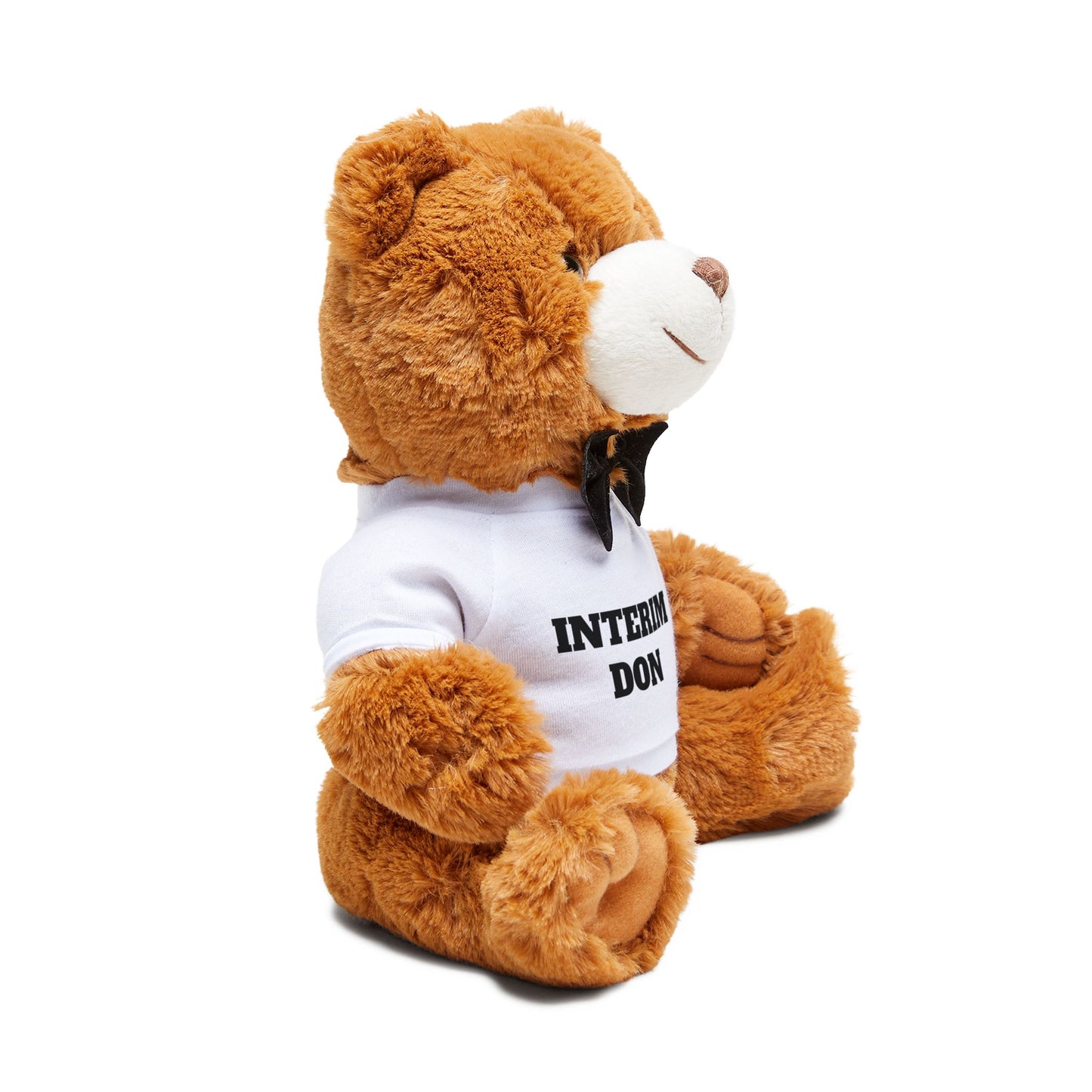 🧸 The “Interim Director of Nursing” Teddy Bear