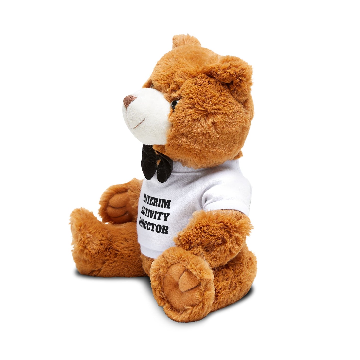 🧸 The “Interim Activity Director” Teddy Bear
