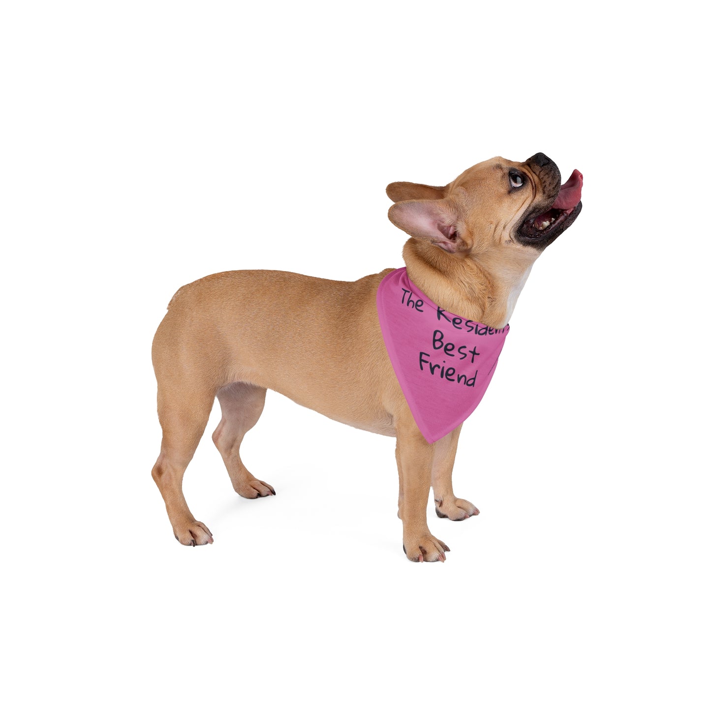 🐶 The Residents' Best Friend – LTC Boutique Pet Bandana (PINK)