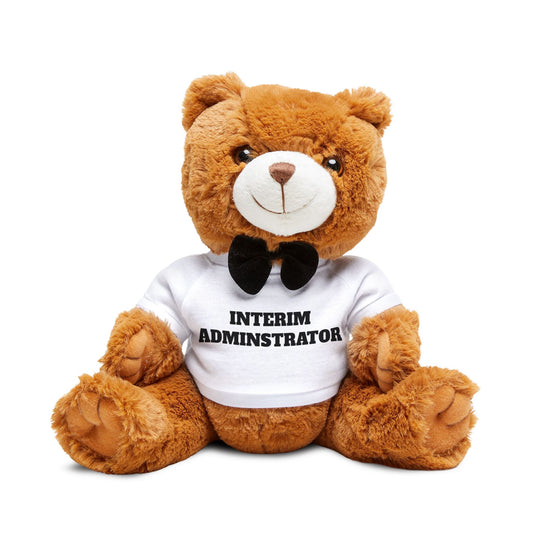 🧸 The “Interim Administrator” Teddy Bear