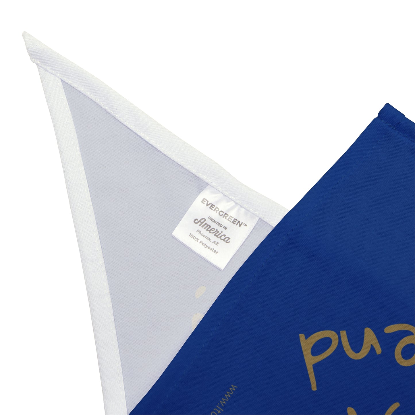 🐶 The Residents' Best Friend – LTC Boutique Pet Bandana (BLUE)